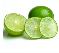 Beste Kalk Pitloze Groene Huid 100% Volwassenheid Vietnam Oorsprong Natuurlijke Smaak Limoen Pitloze Goede Kwaliteit-Wa + 84 989 322 607