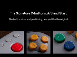8bitdo Ergonomische Draadloze 2.4GHz Gamepad voor Model 81HK01-64 Joysticks & Gamecontrollers - Product Image 4