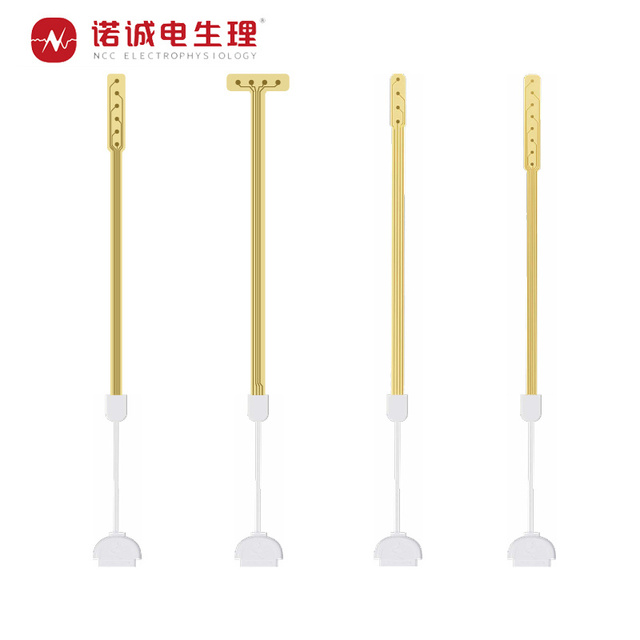 NCC Cortical ECoG Electrodes Intracranial EEG Monitoring Probes Sterile Medical Devices Clinical Epilepsy Diagnosis Model