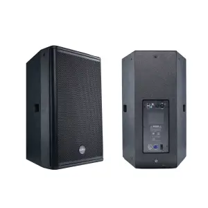 Customize Full Range Professional DJ PA System Active Powered Amplifier Speaker DSL-15