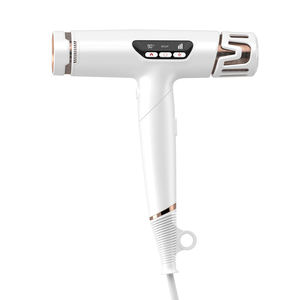 Secador de Pelo Inalámbrico con Motor BLDDC, Plegable e Inteligente, con Boquillas Difusoras, Material Plástico, Alta Velocidad 200000 RPM, Iónico - Product Image 1