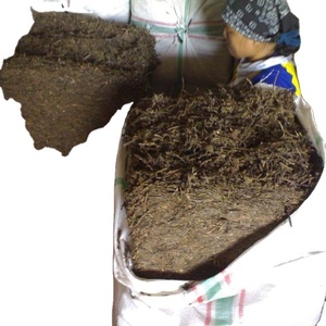 ราคาที่ดีที่สุด หญ้าเยลลี่ เวียดนาม หญ้าเยลลี่คุณภาพดีที่สุด - Product Image 4