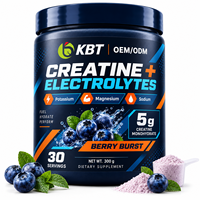 Complément Sportif Personnalisé : Poudre de Créatine aux Baies, Potassium, Magnésium, Sodium, Électrolytes – OEM/ODM