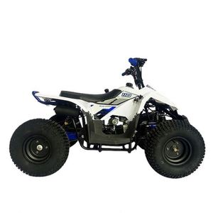 <span class=keywords><strong>Quad</strong></span> enfant SG Blazer 90 à essence 50CC/70CC/90CC certifié CE avec transmission automatique, fourni directement par l'usine, remorques agricoles économiques - Product Image 2