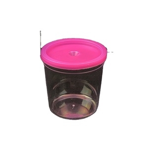 Mini Pecera de Plástico con Tapa y Cuerda, Caja de Acuario Transparente <span class=keywords><strong>para</strong></span> Peces Pequeños, <span class=keywords><strong>Medusas</strong></span>, Tortugas - Venta al por Mayor - Product Image 1