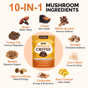 キノココーヒーパウダー10 in 1ストレス解消キノココーヒーパウダー卸売り強化免疫パウダー - Product Image 3