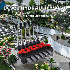 ชุดควบคุมไฮดรอลิกแบบแยกส่วน BOXINHUASHENG รุ่น Dcv20 ปริมาณการไหล 20 ลิตร/นาที แรงดัน 35 เมกะปาสคาล สำหรับระบบไฮดรอลิกเบลารุส - Product Image 4