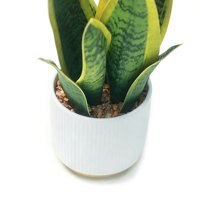Tanaman Ular Buatan 25cm dalam Pot, Sansevieria Palsu 9 Daun, Terlihat Seperti Asli dengan Pot Putih untuk Dekorasi Rumah sebagai Pusat Perhatian