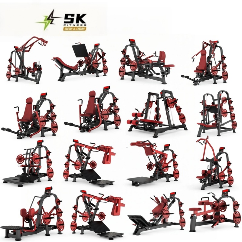 SK 2025 OEM Multi functional Exercise