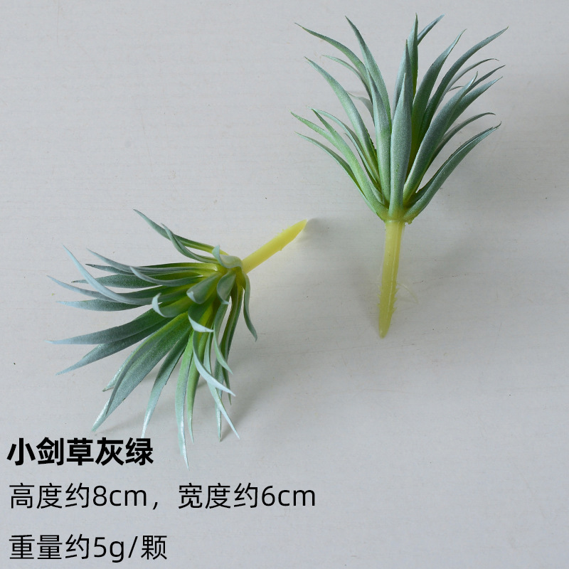 Small sword grass gray green