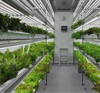 Système hydroponique vertical NFT pour ferme intelligente, serre en conteneur acier pour micro-légumes et légumes à feuilles, serres agricoles