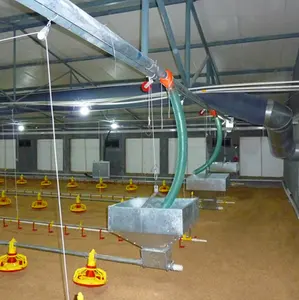 Fabrik preis des automatischen Geflügel fütterung systems Broiler und Züchter Pan Feeder