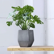 Cetakan Pot Bunga Semen Dekoratif Besar untuk Dekorasi Rumah Tersedia untuk Perdagangan - Product Image 5