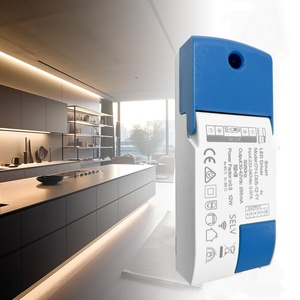 Constant current triac <strong>dimmable</strong> <strong>LED</strong> power driver 8-40w AC180-264V DC30-42V 150-1000mA australian <strong>led</strong> downlight power converter - Product Image 2