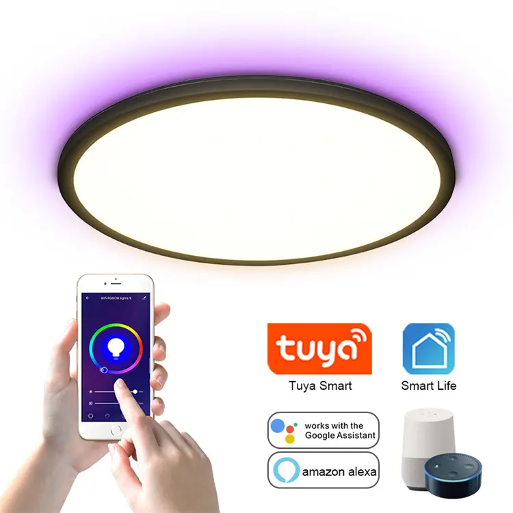 Smart Home Light APP WIFI TUYA RGB Led Ceiling Light Fixture Decoration Led Night Lamp