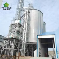 Silo à fond trémie en acier galvanisé pour le stockage de maïs, de soja et de tourteaux de soja pour l'alimentation du bétail et les usines d'aliments pour animaux