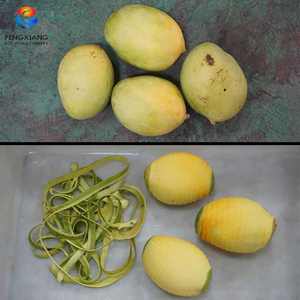 เครื่องปอกเปลือกผลไม้เครื่องปอกเปลือกผลไม้เครื่องปอกเปลือกแบบตั้งโต๊ะ FXP-66S - Product Image 4