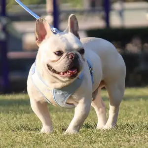 Coleiras de couro para cachorro, coleira costura e coleira, acessórios reflexivos, para animais de estimação, respirável