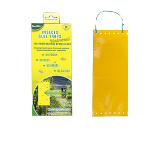 Trampa para Insectos Adhesiva de Doble Cara BestWin, Resistente al Agua y a los Rayos UV, Desechable, 24x10cm, Juego de Cartón PP - Product Image 4