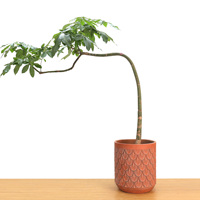 Pots à fleurs en ciment modernes, grands, durables et écologiques, pour usage intérieur et extérieur, décoration de jardin, centre commercial, maison, vente en gros disponible