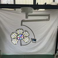 Nouvelle Lampe Dentaire Vétérinaire 2026 – Éclairage LED pour Examen Oral des Animaux, Lampe Chirurgicale Vétérinaire Sans Ombre
