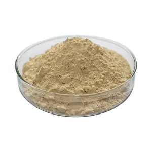 Tremella Polysaccharide Poeder Natuurlijke Tremella Fuciformis Extract