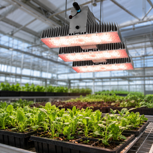 Luces LED de Cultivo de Alto Rendimiento de 520w 660w 880w 1040w <span class=keywords><strong>1210w</strong></span> IP66 con Parte Superior de Aluminio para Invernadero - Product Image 6