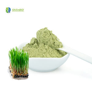 Порошок экстракта пырей йтбио органический порошок пырей - Product Image 1