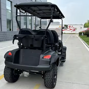 4 + 2 phong cách mới điện Golf Buggy 48V màu sắc có thể được tùy chỉnh - Product Image 6