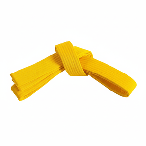 PromotionMeilleures ventes Ceintures de taekwondo avec logo personnalisé Équipement d'arts martiaux professionnels de haute qualité - Product Image 1