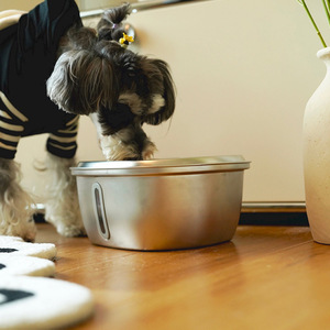 3L Paslanmaz Çelik Evcil Hayvan Su Çeşmesi Otomatik Kedi Su Sebili Sirkülasyonlu Filtrasyonlu Su Besleyici Kediler Köpekler İç Mekan İçin - Product Image 2