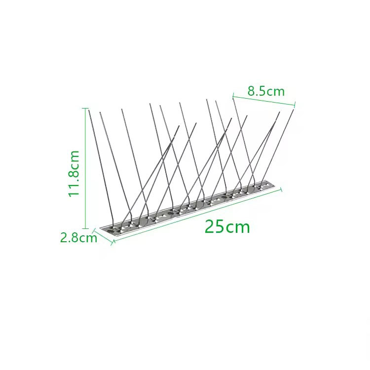 25cm