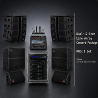 Sistem Speaker Line Array NEARSTAR Dual 12 Inch Paket Audio Konser dengan Amplifier, Rak, dan Frame Pengangkut