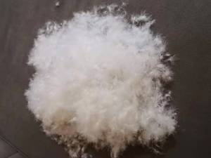 Plumes de <span class=keywords><strong>canard</strong></span> blanches, prix usine, pour oreiller, haute puissance de rembourrage, lavées, <span class=keywords><strong>duvet</strong></span> de <span class=keywords><strong>canard</strong></span> et <span class=keywords><strong>d</strong></span>'<span class=keywords><strong>oie</strong></span> neuf - Product Image 6