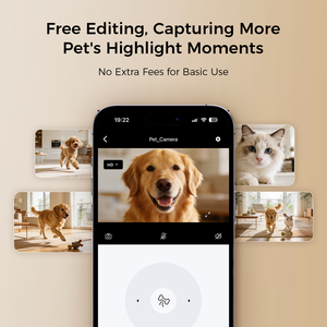 กล้องสัตว์เลี้ยง HD 1080P พร้อมเครื่องจ่ายขนมอัจฉริยะ หมุนได้ 360 องศา ระบบ AI ตรวจจับ สำหรับสุนัขและแมวในบ้าน - Product Image 2