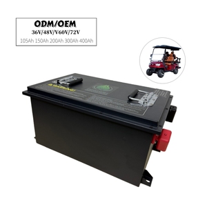 Hot Selling Golf Cart Wholesale Price Lithium Ion Batteries 36V 48V 60V 72V 50Ah 100Ah 105Ah 120Ah 200Ah Battery DW-040201 Lifep - Product Image 2