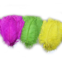 60-65cm grande taille carnaval Costume plume d'autruche en différentes couleurs plume d'autruche plumes teint plume d'autruche