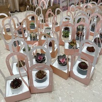 Boîte à fleurs portable, petit cadeau, plante succulente, panier à fleurs emballé dans du papier, emballage floral, porte-pot