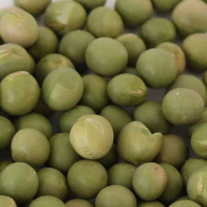 Trung Quốc không biến đổi gen khô Đậu Nành Đậu soja đậu tương Xanh - Product Image 3