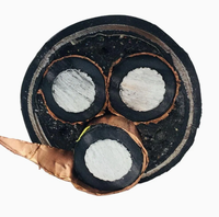 Cable Eléctrico de Aleación de Aluminio al por Mayor del Fabricante, Cable de Aluminio de 10 mm YJLHV con Aislamiento XLPE, Bajo Humo, Cero Halógenos, Cobre