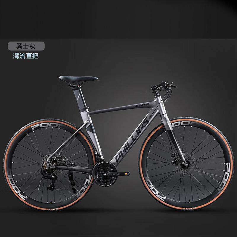 Gulfstream chevalier gris droit