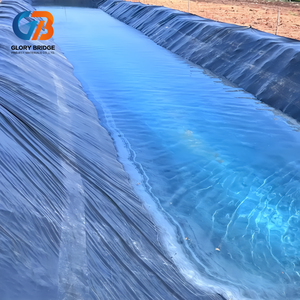 HDPE Geomembrane Eco-Friendly Durable for Coastal <strong>Dyke</strong> and Pond Waterproof Protection Liner - Product Image 4