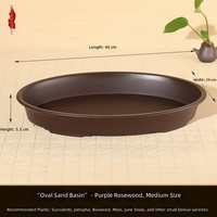Pot de fleurs ovale peu profond en résine de grand calibre pour plantes succulentes, conteneur hydroponique non perforé pour jardin domestique et extérieur