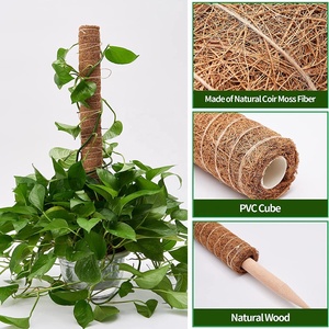 Oferta Especial: Set de Postes de Musgo de <span class=keywords><strong>Coco</strong></span> para Bonsái y Plantas Trepadoras, Diseño Ecológico y Duradero, Macetas y Jardineras para Plantas Verdes de Hogar y Jardín - Product Image 5