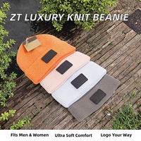 Nouveauté 2026 ZT Vente en gros Bonnets d'hiver de luxe en acrylique jacquard tricoté à motifs en relief pour adultes, usage domestique, logo de designer personnalisable