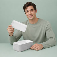 Platos de Bagazo Personalizados por el Fabricante, Biodegradables, Impermeables, Resistentes a la Grasa, Contenedor de Alimentos sin Plástico para Hogares y Restaurantes