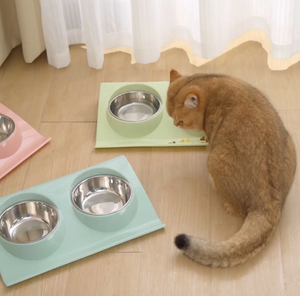 Mangkuk tempat makan hewan peliharaan, mangkuk kucing dobel tinggi baja tahan karat untuk kebutuhan makanan kucing & air - Product Image 1