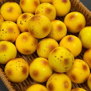 Potato Squeeze <b>Toy</b> For Stress Relief Fun Sensory Play And <b>Desk</b> Relaxation Soft Elastic Decompression <b>Toy</b> For Kids And Adults - Product Image 1