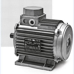 มอเตอร์ไฟฟ้า Becomd AC DC เซอร์โว ยูนิเวอร์แซล ผลิตจากเหล็ก ผลิตในอิตาลี - Product Image 2