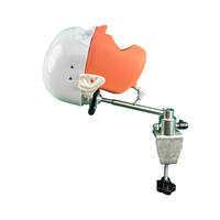 Modelo de Anatomía Humana, modelo estándar, simulador fantasma Dental extraíble e instalable, modelo Dental, molde de cabeza Dental para uso médico